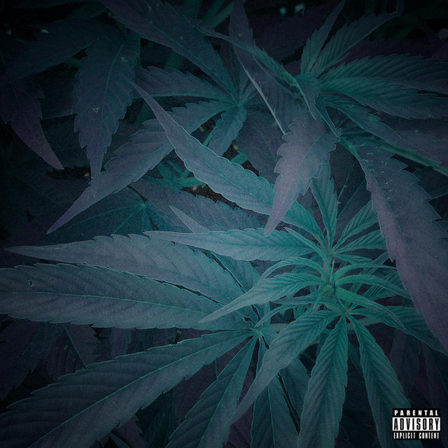No Reason cover