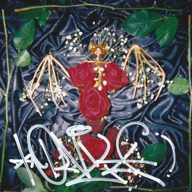 Onyx cover art