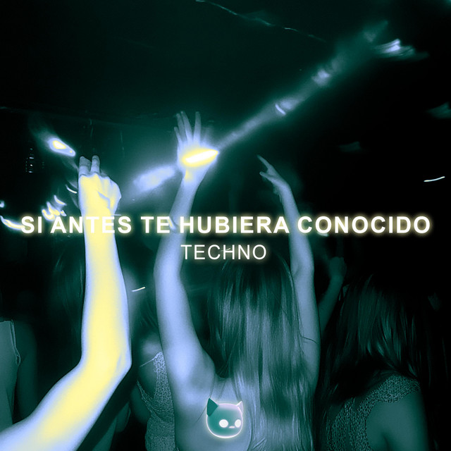 Si Antes Te Hubiera Conocido - Techno Mix
