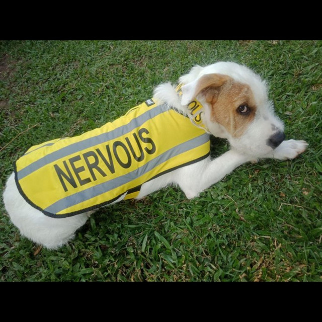 Nervous cover art