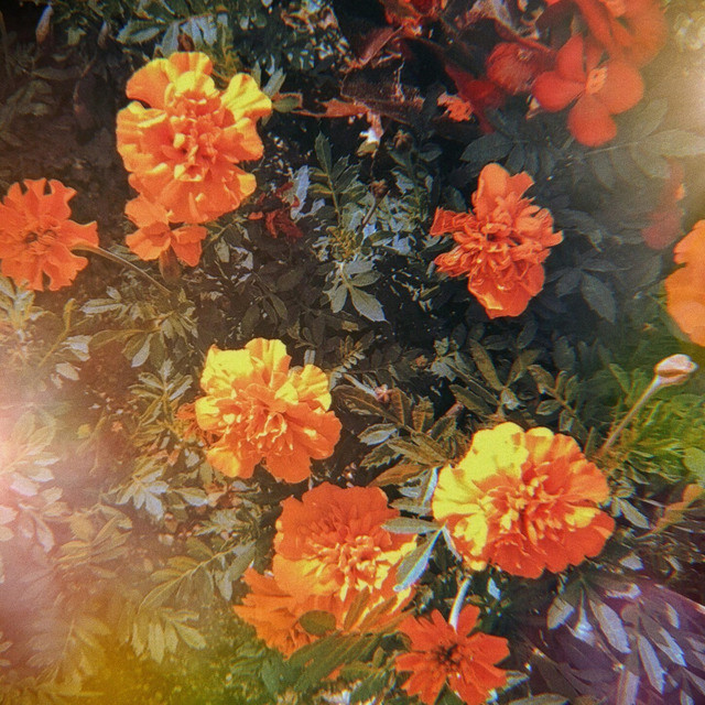 Luv Letters cover art