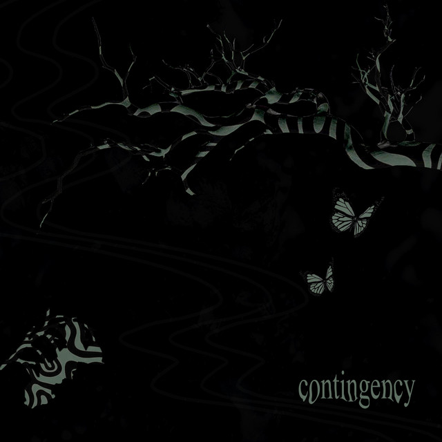 CONTINGENCY cover art