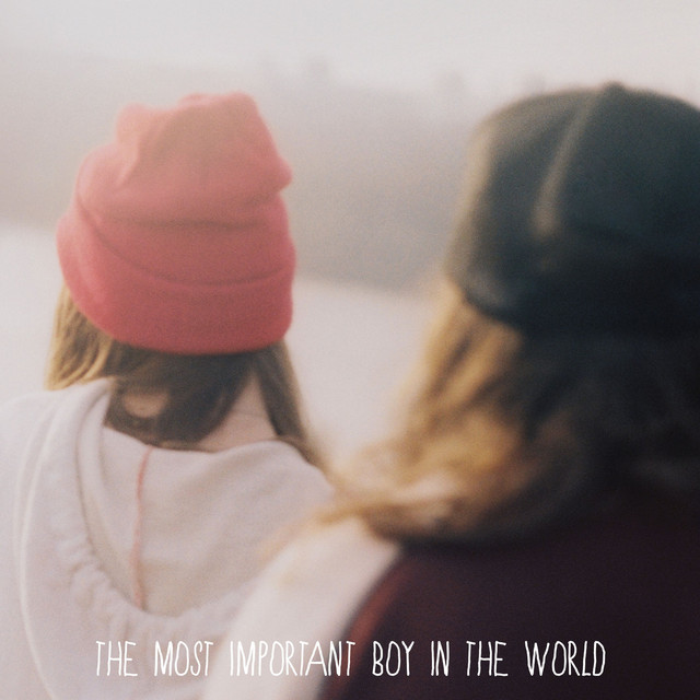 The Most Important Boy In The World cover art