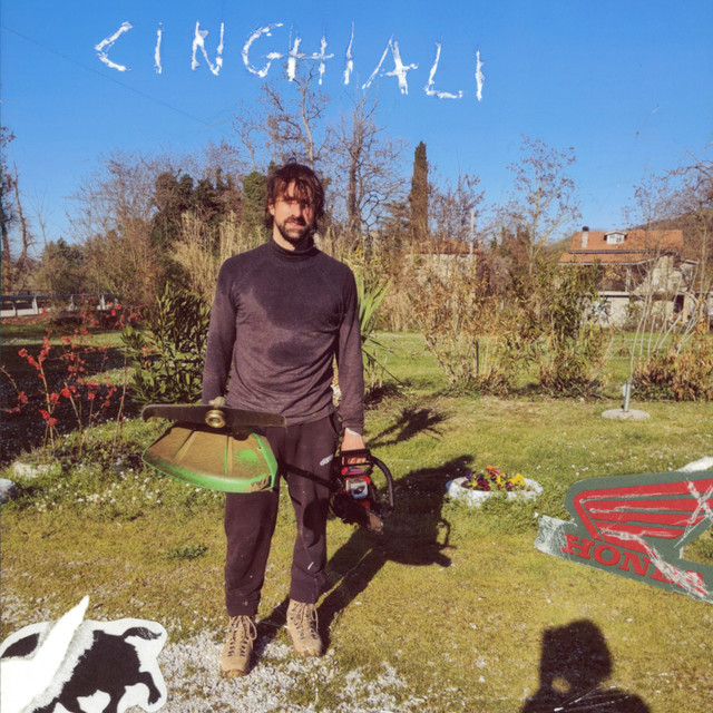 undefined album image