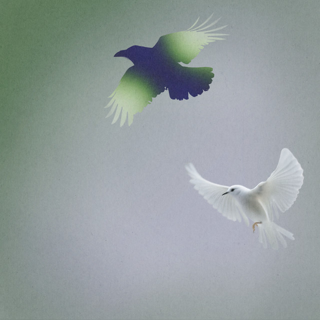 Shallow Water - Elderbrook