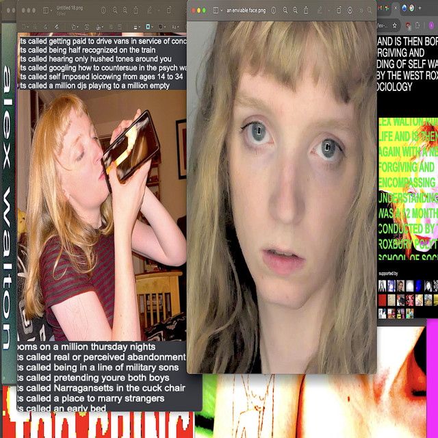 An Enviable Face (Songs 2023-2024) cover art