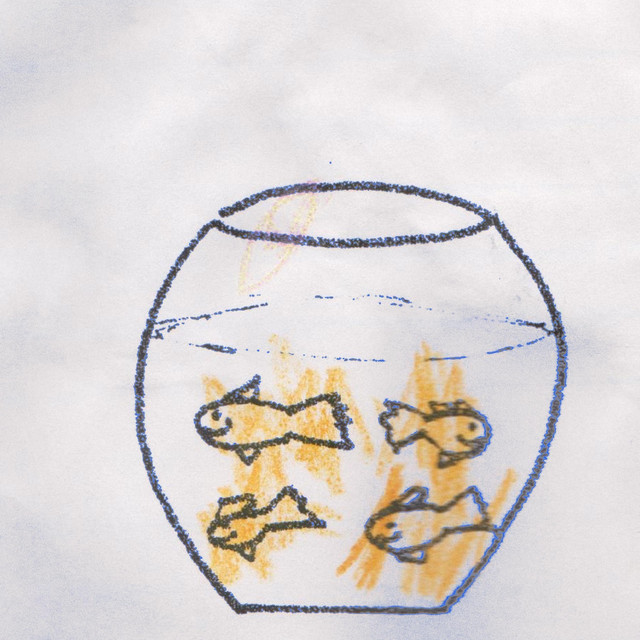 Fish in a Bowl cover art