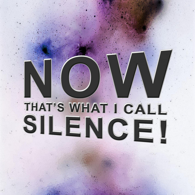 Now That's What I Call Silence! cover