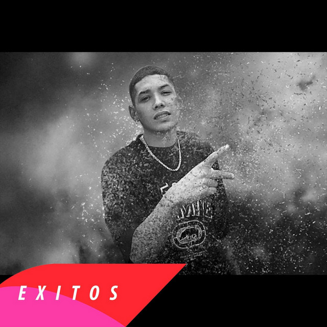 Exitos cover art