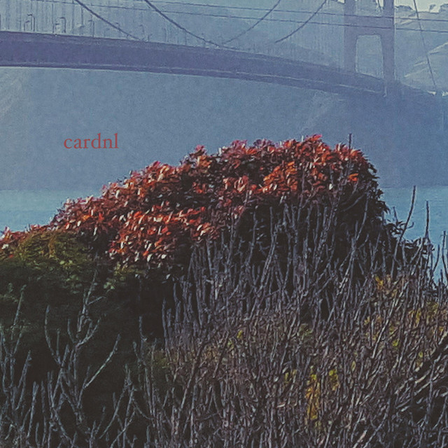 Nothing Is Happening and Still We Keep Changing cover art