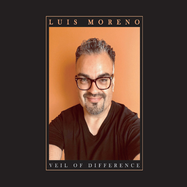 Veil of Difference cover