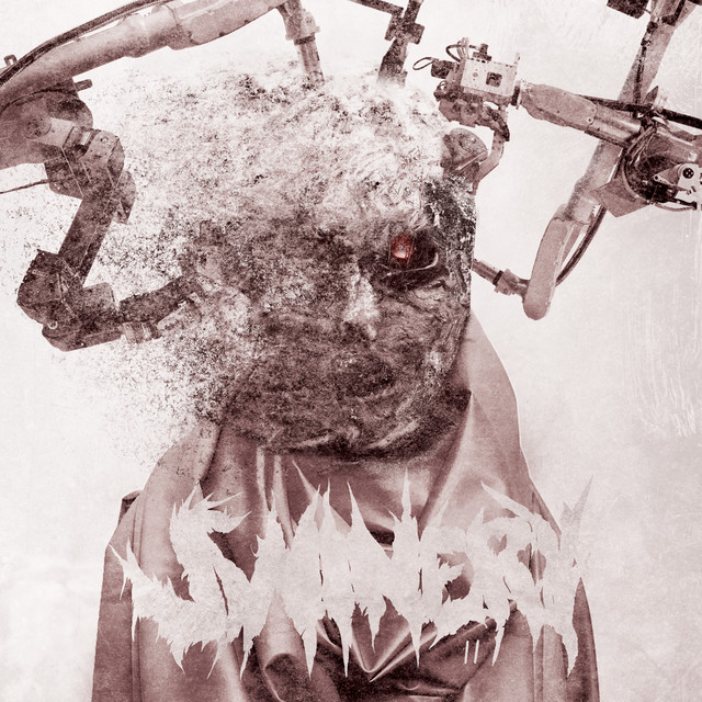 Swinery II (Deluxe Edition) cover art