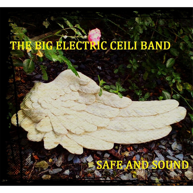 The Big Electric Ceili Band