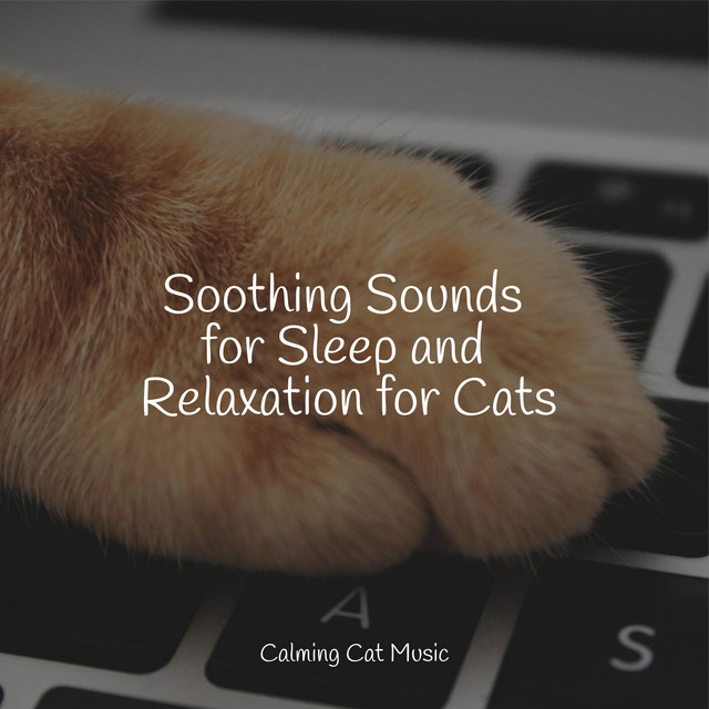 Soothing Sounds for Sleep and Relaxation for Cats - Album by Music for ...