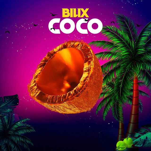 Coco cover art