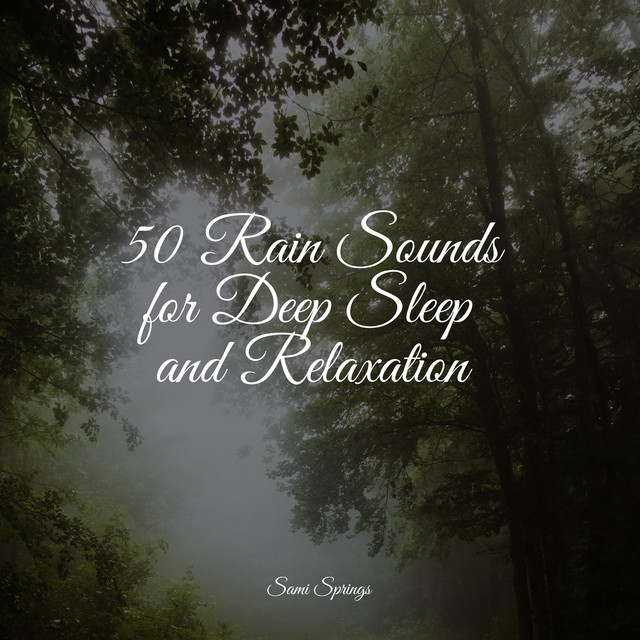 50 Rain Sounds for Deep Sleep and Relaxation - Album by Pacific Rim ...