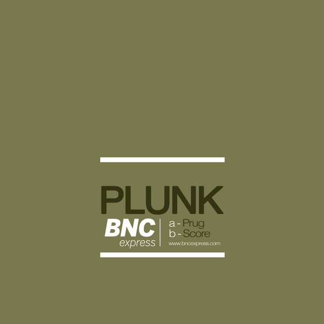 Prug cover