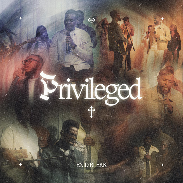Privileged cover art