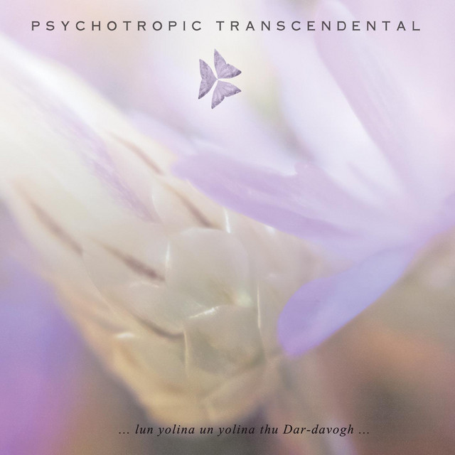 Psychotropic Transcendental Photo