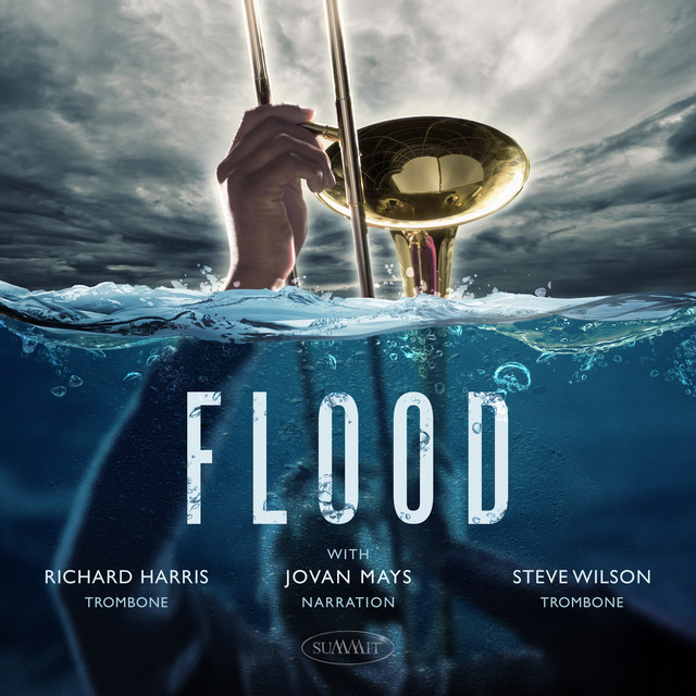 FLOOD cover art