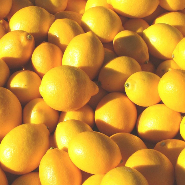 "kayla's lemonade"