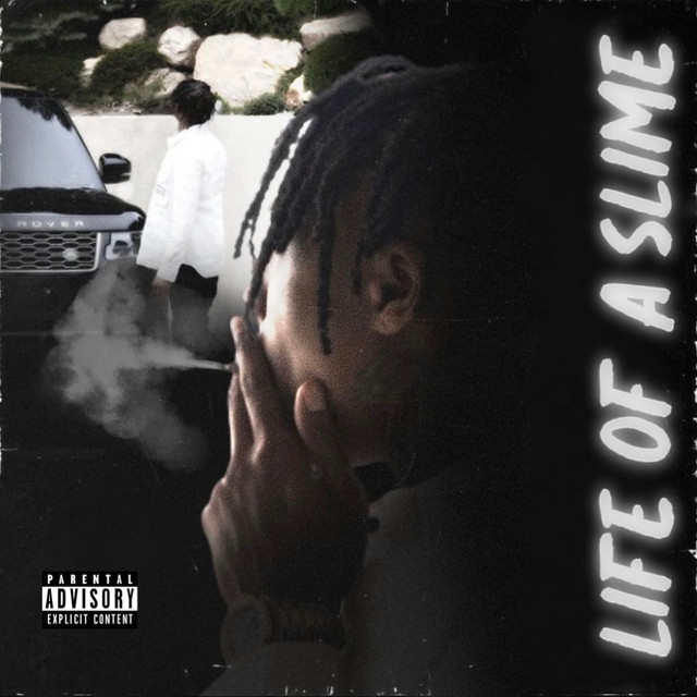 Life Of A Slime cover art