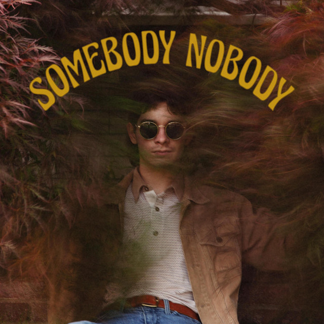 Somebody Nobody cover art