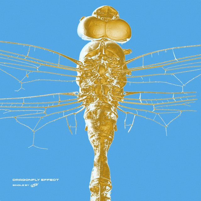Dragonfly Effect cover art