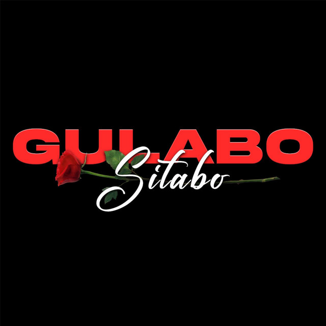 Gulabo Sitabo cover art