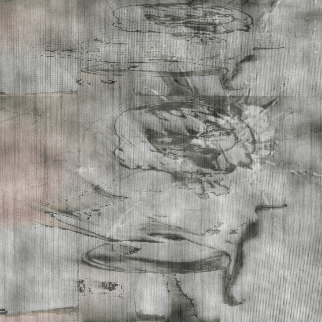 Biały Iphone cover art