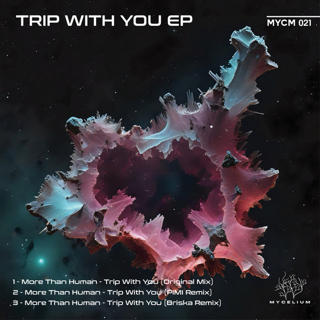 Trip With You - Briska Remix cover art