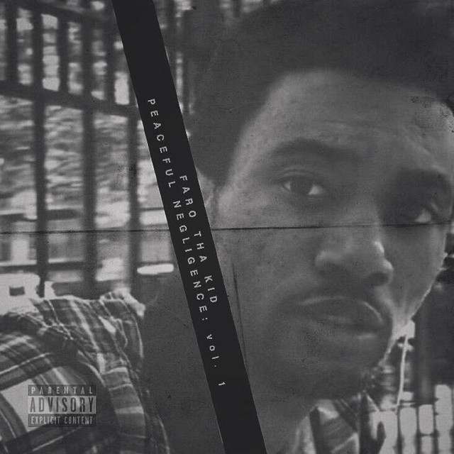 Peaceful Negligence, Vol. 1 cover art