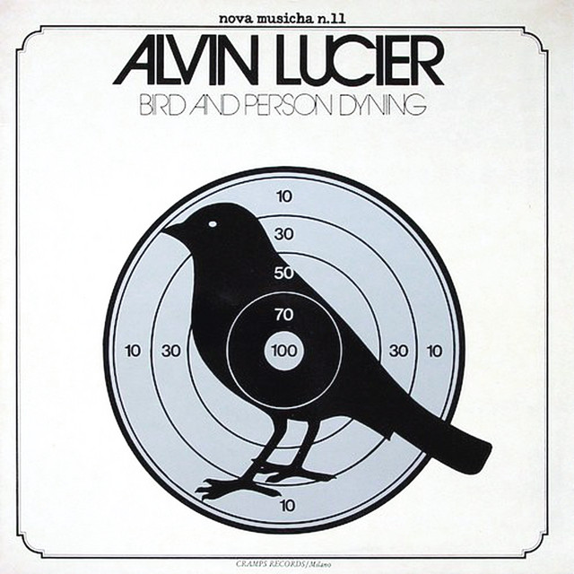 Bird and Person Dying cover art