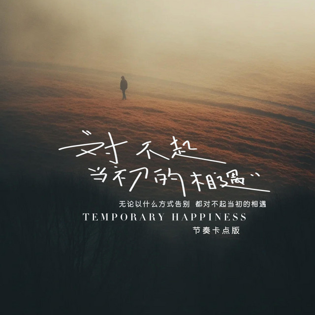 杨凯盛 – 对不起当初的相遇 (节奏卡点版)