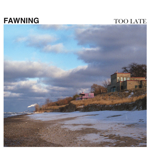 Too Late by Fawning