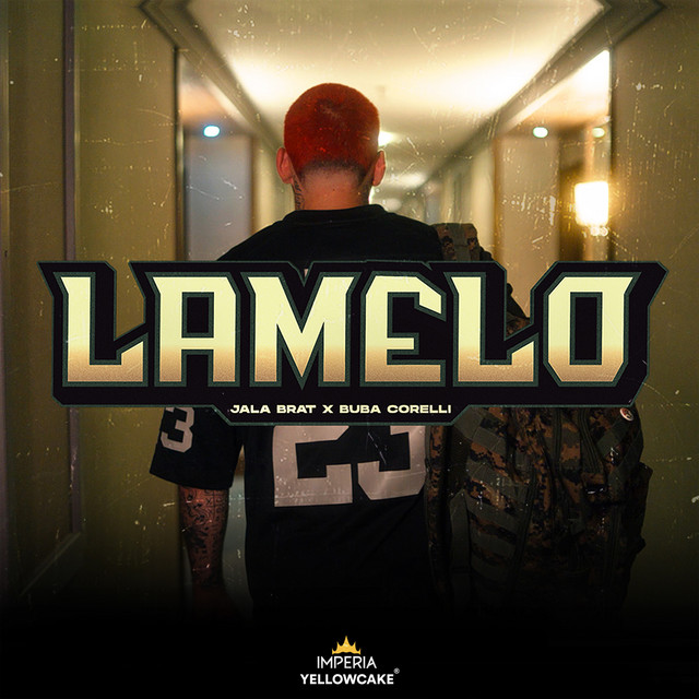 LaMelo cover art