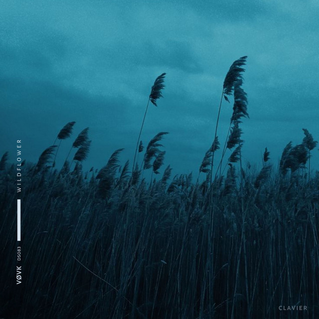 Обкладинка: wildflower — Clavier