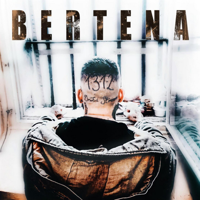 BERTENA cover art