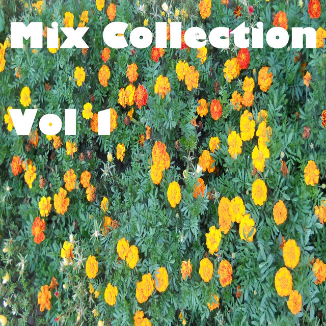 Mix Collection Vol 1 - Compilation by Various Artists | Spotify