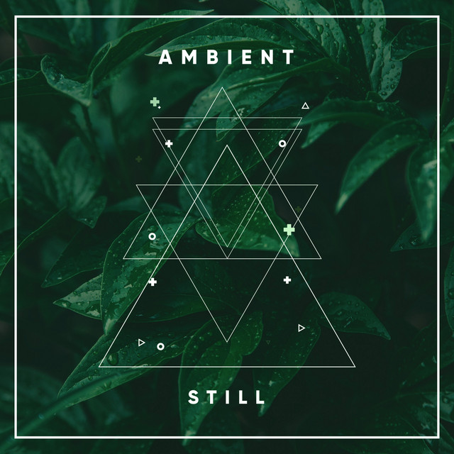 Ambient Still cover art