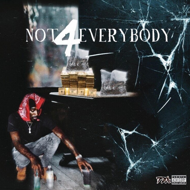 Not 4 Everybody cover art