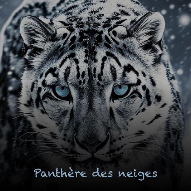 Panthère des neiges