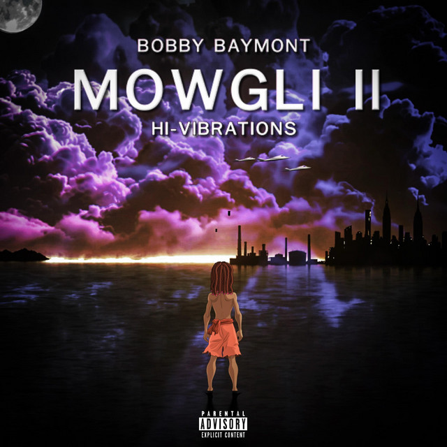 Mowgli 2: Hi-Vibrations