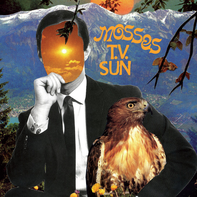T.V. Sun cover art