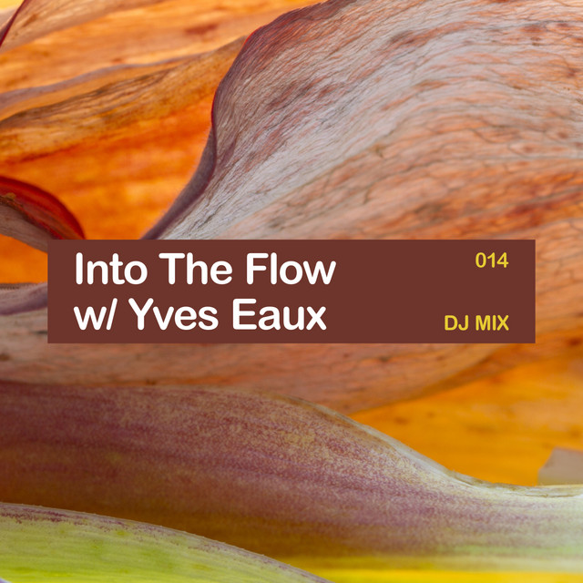 Into the Flow 014 (DJ Mix) cover