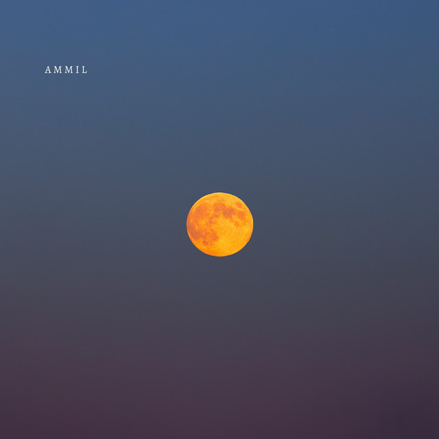 Ammil album image