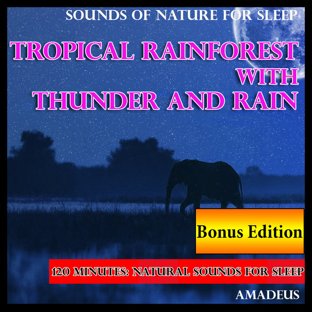 Sounds of Nature for Sleep: Tropical Rainforest with Thunder and Rain: Bonus Edition cover art