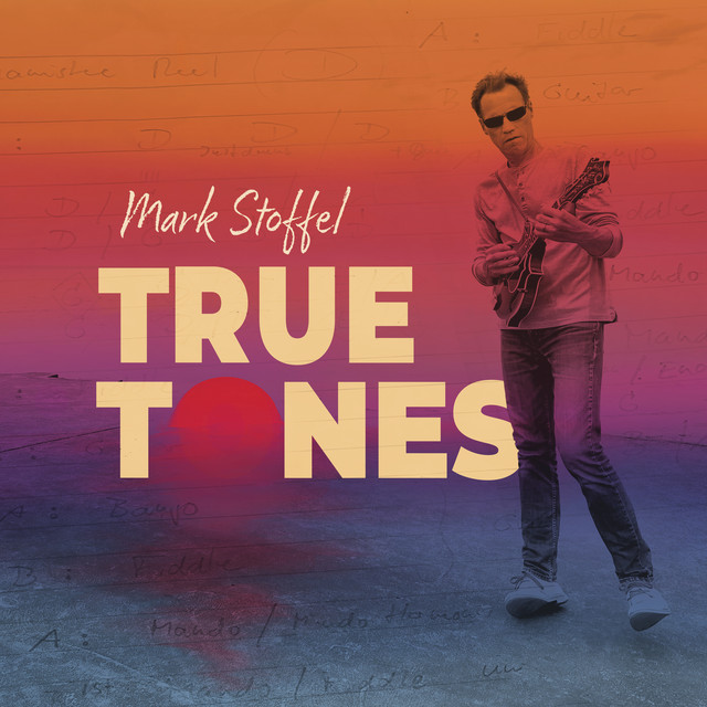 True Tones cover
