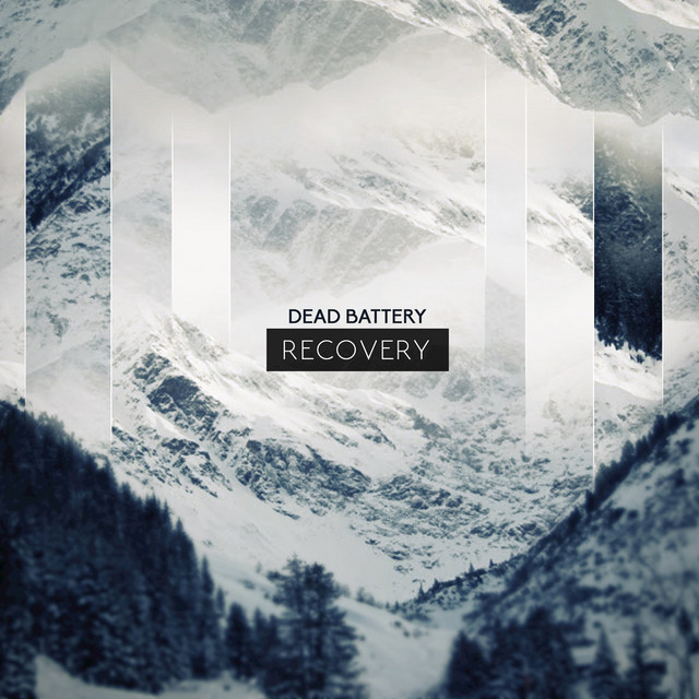 Recovery cover art