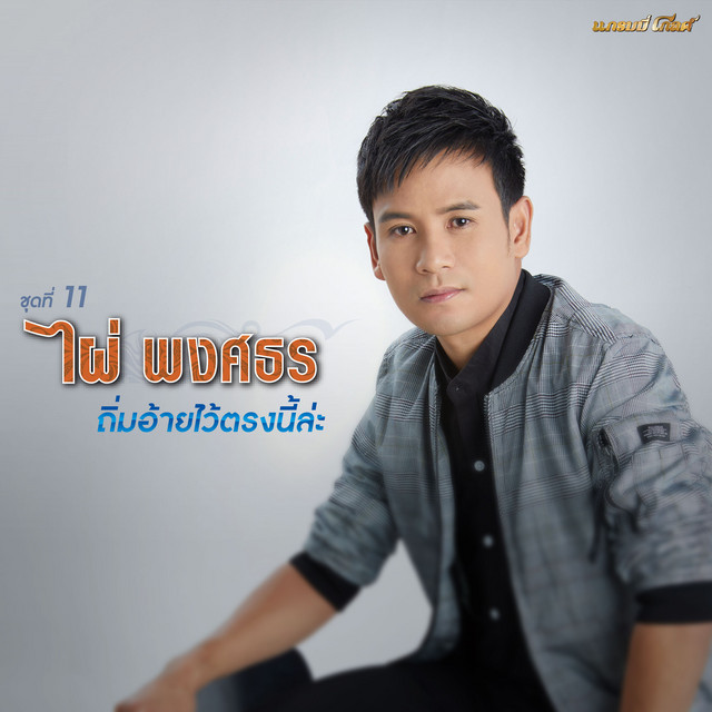 ไผ่ พงศธร ชุดที่ 11 ถิ่มอ้ายไว้ตรงนี้ล่ะ cover art